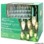 Premier 40 Bulbs Multi-Action Clear Outdoor Christmas Lights