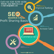 Enhance eCommerce Business through Profit Sharing SEO Services offered