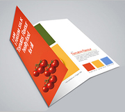 Cheap Folded Leaflet printing at just £32.50 - Printwin